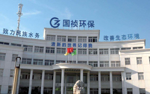安徽國禎環保